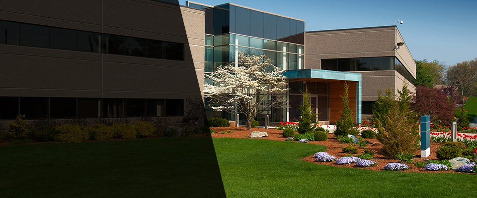 Fort Ann Landscapers